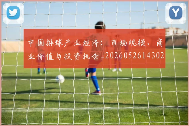 中国排球产业经济：市场规模、商业价值与投资机会_20260526143026